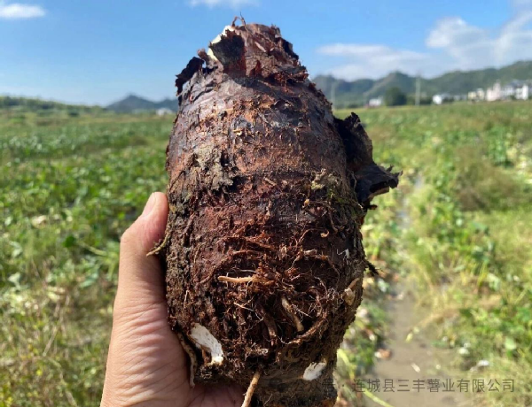 Хороший урожай!