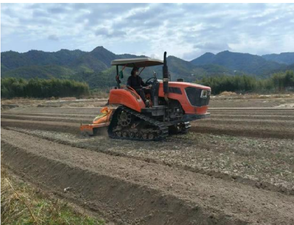 Весенний сев приносит надежду, Земля восстанавливает жизненные силы